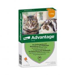 Advantage® für Katzen und Zierkaninchen - 4 Pipetten x 0,4 ml (< 4kg)