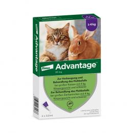 Advantage® für Katzen und Zierkaninchen  - Sparpaket: 8 Pipetten x 0,8 ml (> 4kg)