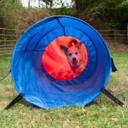 Agility Fun & Sport Sacktunnel - Ø 60 cm, Länge 5 m