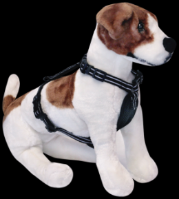 Alcott Essentials Adventure Harness Schwarz S