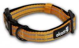 Alcott Orange Traveller Abenteuer Halskette 45-66Cm X 25Mm
