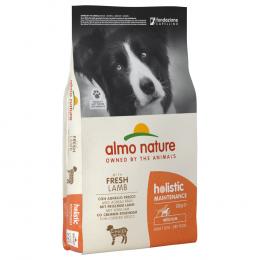 Angebot für Almo Nature Holistic Adult Lamm & Reis Medium - Sparpaket: 2 x 12 kg - Kategorie Hund / Hundefutter trocken / Almo Nature / Almo Nature Holistic Medium.  Lieferzeit: 1-2 Tage -  jetzt kaufen.