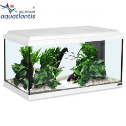Aquatlantis Aquarium Advance LED 60 weiß