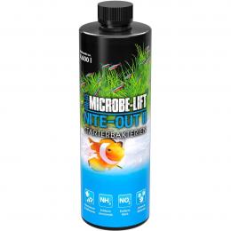 ARKA Nite-Out II Starterbakterien 473 ml x 2