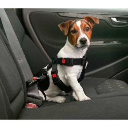 Auto-Sicherheitsgeschirr / Hundegurt - L