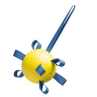 Beeztees Fetch Spielball Power