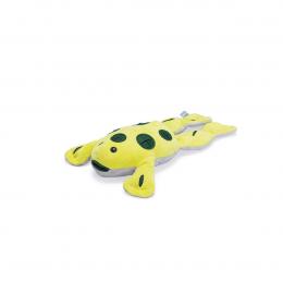 Beeztees Hundespielzeug Plüsch Hide und Seek Frosch