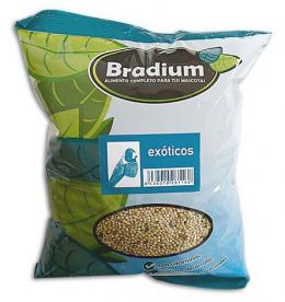 Bradium Exotische Mischung Bradium Sittich-4Kg (Groß) 4 Kg
