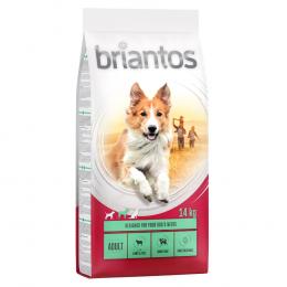 Briantos Adult Lamm & Reis - 100 g JETZT TESTEN!