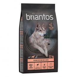 Angebot für Briantos Adult Light/Sterilised Pute & Kartoffel - GETREIDEFREIE Rezeptur - 12 kg - Kategorie Hund / Hundefutter trocken / Briantos / Briantos getreidefrei.  Lieferzeit: 1-2 Tage -  jetzt kaufen.