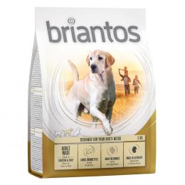 Briantos Adult Maxi - Sparpaket: 4 x 1 kg