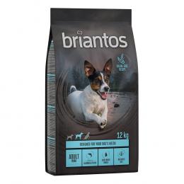 Briantos Adult Mini Lachs & Kartoffel - GETREIDEFREIE Rezeptur - 12 kg