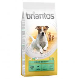 Briantos Adult Mini Lamm & Reis - Sparpaket: 8 x 1 kg