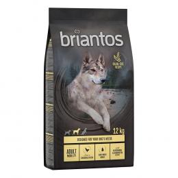 Briantos Adult Mobility Huhn & Kartoffel - GETREIDEFREIE Rezeptur - 2 x 12 kg