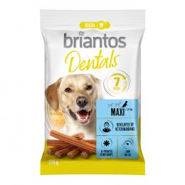 Briantos Dental Snacks für Hunde  - Maxi (7 Sticks)