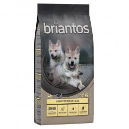 Briantos Junior Huhn & Kartoffel - GETREIDEFREIE Rezeptur - 12 kg