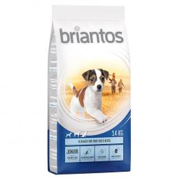 Angebot für Briantos Junior - Sparpaket: 2 x 14 kg - Kategorie Hund / Hundefutter trocken / Briantos / Briantos Junior.  Lieferzeit: 1-2 Tage -  jetzt kaufen.