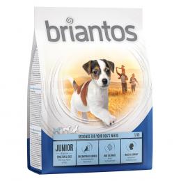Angebot für Briantos Junior - Sparpaket: 4 x 1 kg - Kategorie Hund / Hundefutter trocken / Briantos / Briantos Junior.  Lieferzeit: 1-2 Tage -  jetzt kaufen.