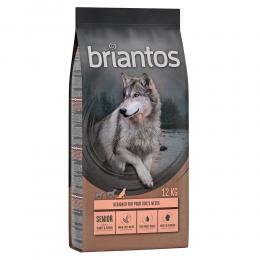 Briantos Senior Pute & Kartoffel - GETREIDEFREIE Rezeptur - Sparpaket: 2 x 12 kg