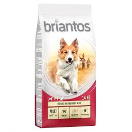 Briantos Sparpaket (2 x Großgebinde) - Adult Huhn & Reis  (2 x 14 kg)