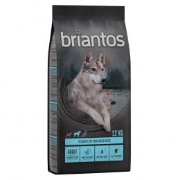 Briantos Sparpaket (2 x Großgebinde) - Briantos Adult Lachs GETREIDEFREI (2 x 12 kg)