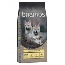 Briantos Sparpaket (2 x Großgebinde) -  Briantos Junior Huhn GETREIDEFREI (2 x 12 kg)