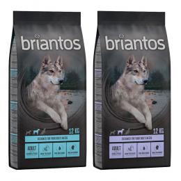 Briantos Sparpaket (2 x Großgebinde) - Mix Adult GETREIDEFREI: Ente + Lachs (2 x 12 kg)