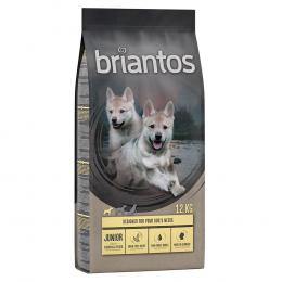 Briantos Trockenfutter 12 / 14 kg zum Sonderpreis! - Junior Huhn & Kartoffel (12 kg)
