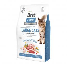 Brit Care GF Large Cats Power und Vitality 2kg