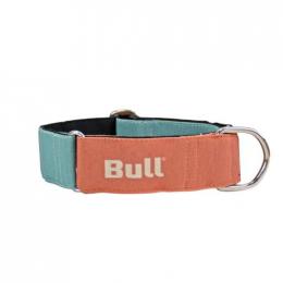 Bull Orange-Türkises Windhundhalsband 35-65 Cm