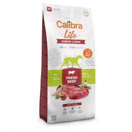 Calibra Life Junior Large Breed mit frischem Rind - 12 kg