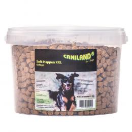 Caniland Soft Geflügel-Trainees XXL-Eimer - Sparpaket: 2 x 2 kg