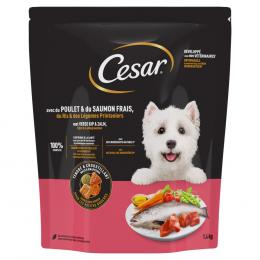Cesar Adult mit Huhn, Lachs und Gemüse - Sparpaket: 2 x 1,4 kg
