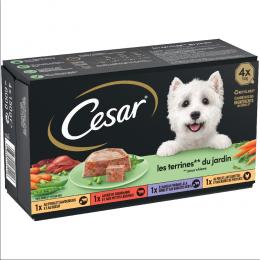 Cesar Classic Selection Mixkarton - Garten-Terrine (24 x 150 g)