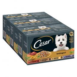 Angebot für Cesar Country Kitchen Favourites Mixkarton - 96 x 150 g - Kategorie Hund / Hundefutter nass / Cesar / Schalen.  Lieferzeit: 1-2 Tage -  jetzt kaufen.