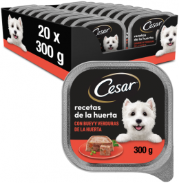 Cesar Nassfutter Für Hunde Beef And Vegetable Flavor Tub  300 Gr