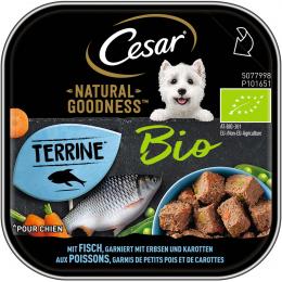 Cesar Natural Goodness Bio mit Fisch, Erbsen und Karotten 16x100g