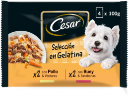 Cesar Wet Food Dogs Multipack Auswahl Von Gemischtem Fleisch In