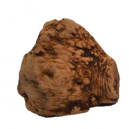 Chewies Kauwurzel für Hunde und Welpen - Größe L (ca. 300 g)