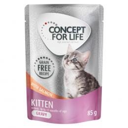 Angebot für Concept for Life Kitten Lachs getreidefrei - in Soße - Sparpaket: 48 x 85 g - Kategorie Katze / Katzenfutter nass / Concept for Life / getreidefrei.  Lieferzeit: 1-2 Tage -  jetzt kaufen.