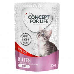 Concept for Life Kitten mit Rind getreidefrei - in Gelee - Sparpaket: 24 x 85 g