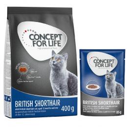 Concept for Life Kombi-Paket: 400 g Trockennahrung + 12 x 85 g Nassnahrung in Soße - British Shorthair Mixpaket