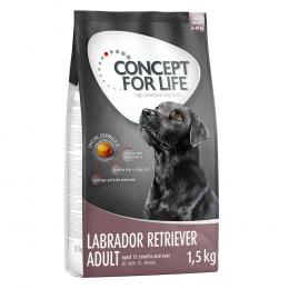 Concept for Life Labrador Retriever Adult - Sparpaket: 4 x 1,5 kg