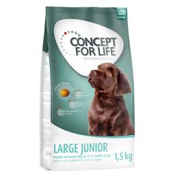 Concept for Life Large Junior - Sparpaket: 4 x 1,5 kg
