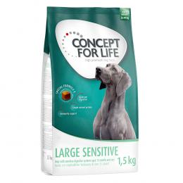 Concept for Life Large Sensitive - Sparpaket: 4 x 1,5 kg