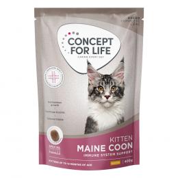 Concept for Life Maine Coon Kitten - NEU: 400 g