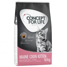 Angebot für Concept for Life Maine Coon Kitten - Verbesserte Rezeptur! - 10 kg - Kategorie Katze / Katzenfutter trocken / Concept for Life / Rassefutter.  Lieferzeit: 1-2 Tage -  jetzt kaufen.