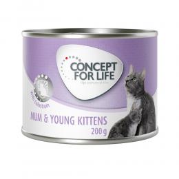 Concept for Life Mum & Young Kittens Mousse - Sparpaket: 24 x 200 g