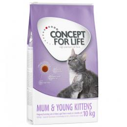 Concept for Life Mum & Young Kittens - Verbesserte Rezeptur! - 10 kg