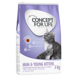 Concept for Life Mum & Young Kittens - Verbesserte Rezeptur! - 3 kg